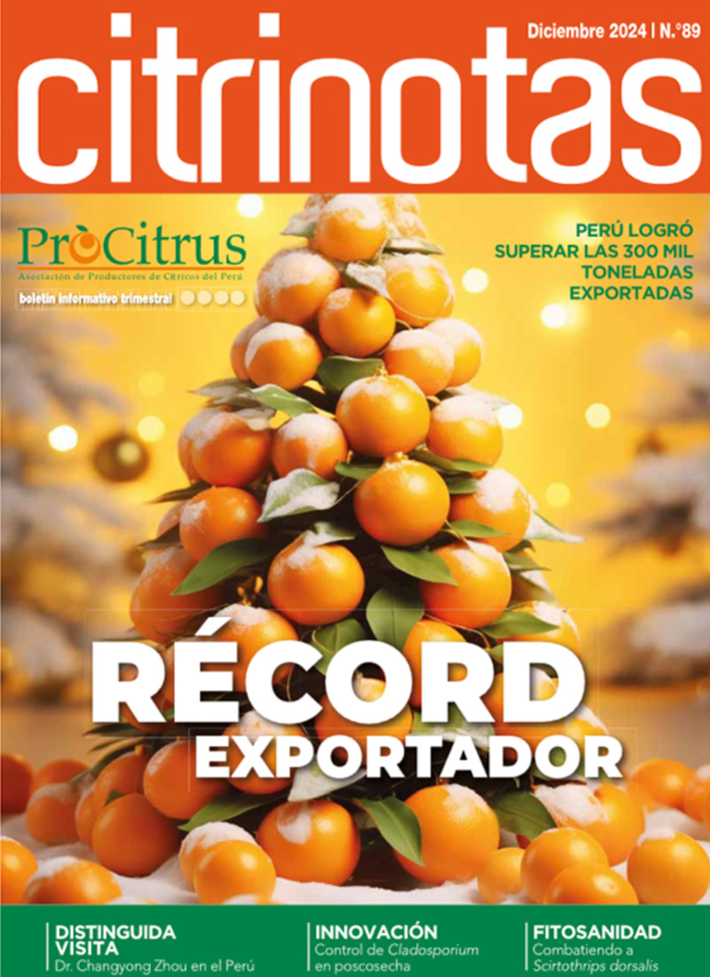 Citrinotas # 89